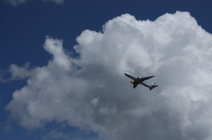 3851732077_081d42d1a0